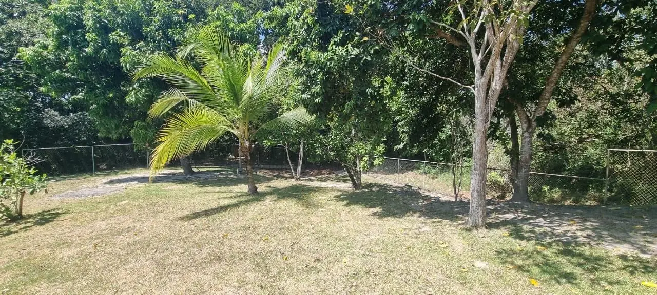 Valle Village #16, Las Uvas, San Carlos #16 - Photo 57