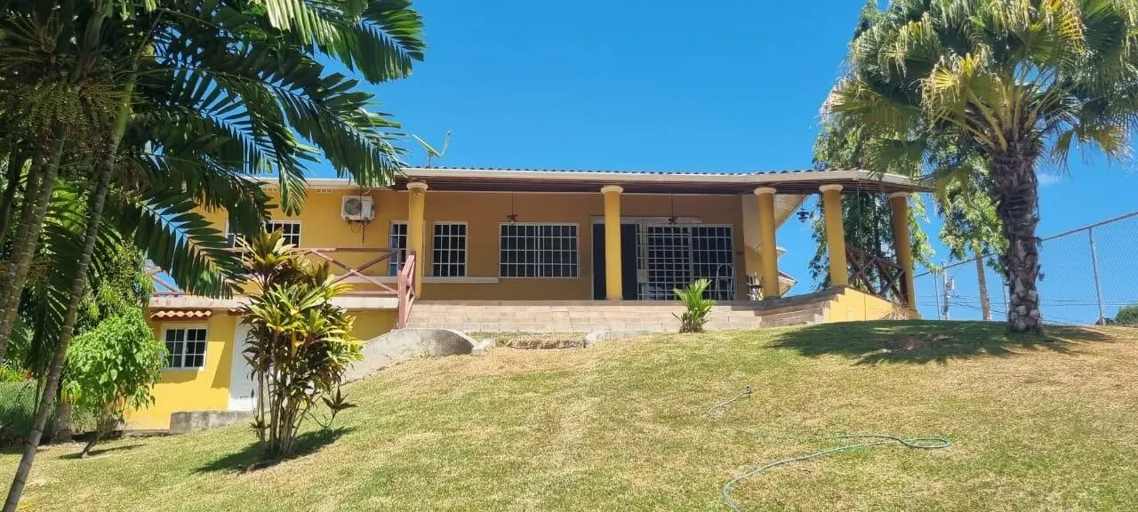 Valle Village #16, Las Uvas, San Carlos #16 - Photo 80