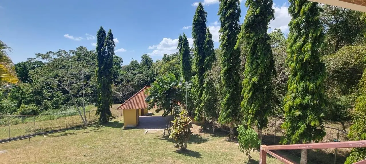 Valle Village #16, Las Uvas, San Carlos #16 - Photo 46