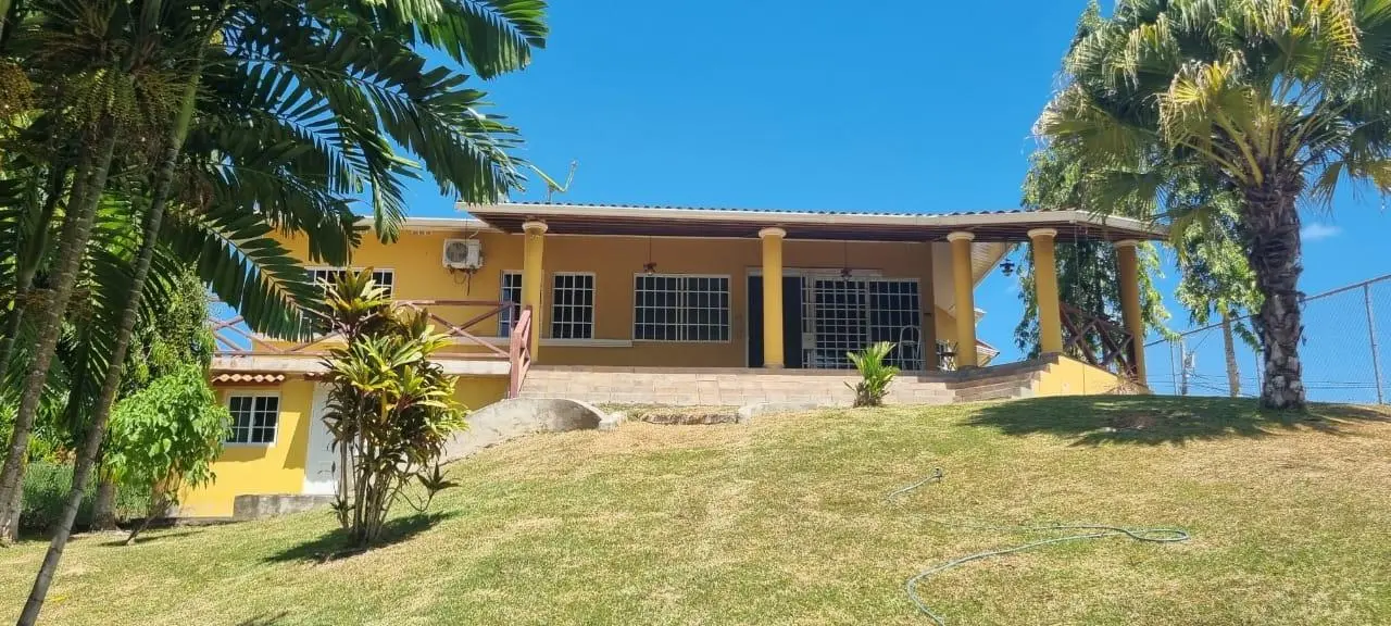 Valle Village #16, Las Uvas, San Carlos #16 - Photo 9