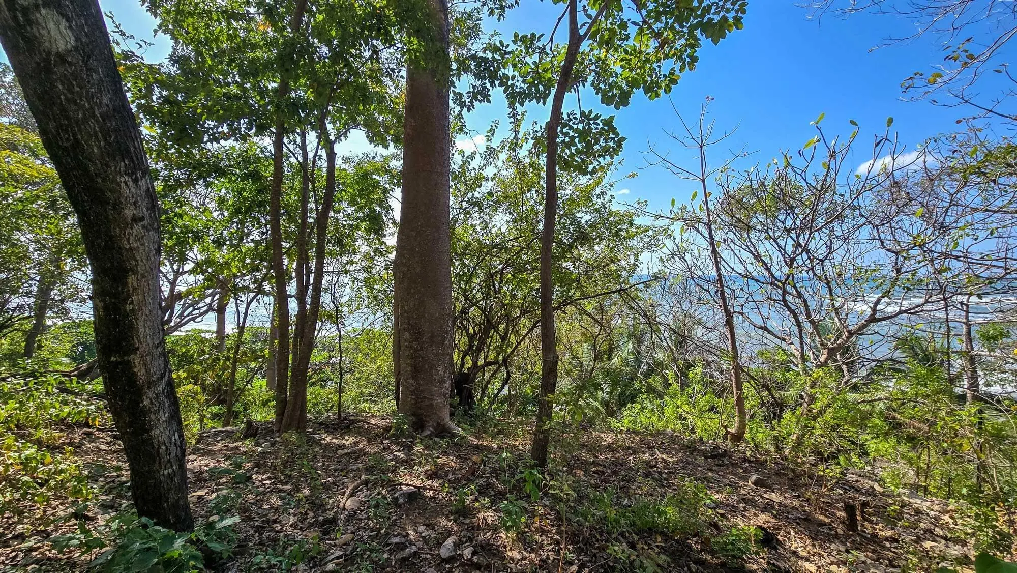 Cambutal, Tonosí, Close To Corto Circuito - Photo 20