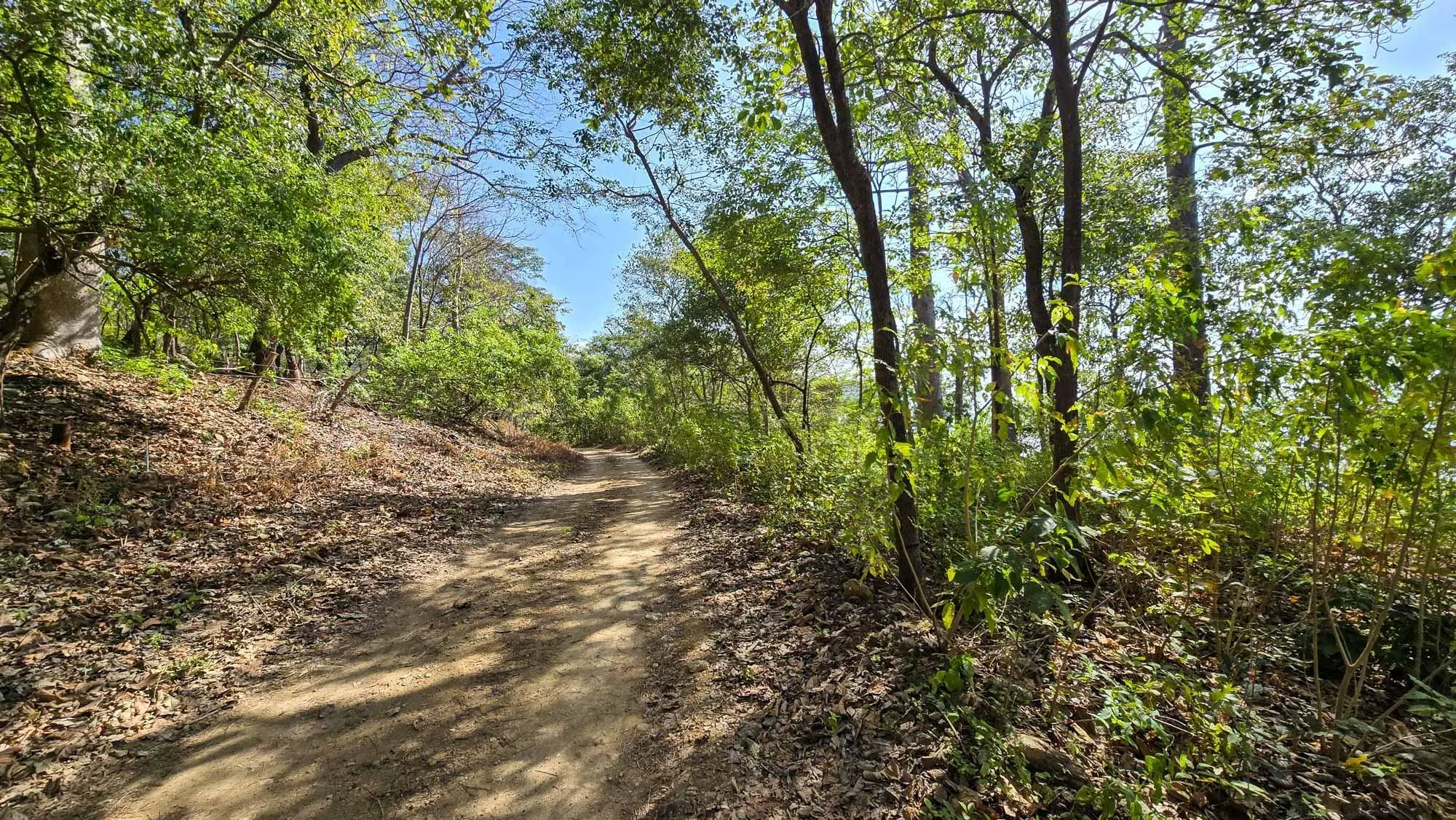 Cambutal, Tonosí, Close To Corto Circuito - Photo 18