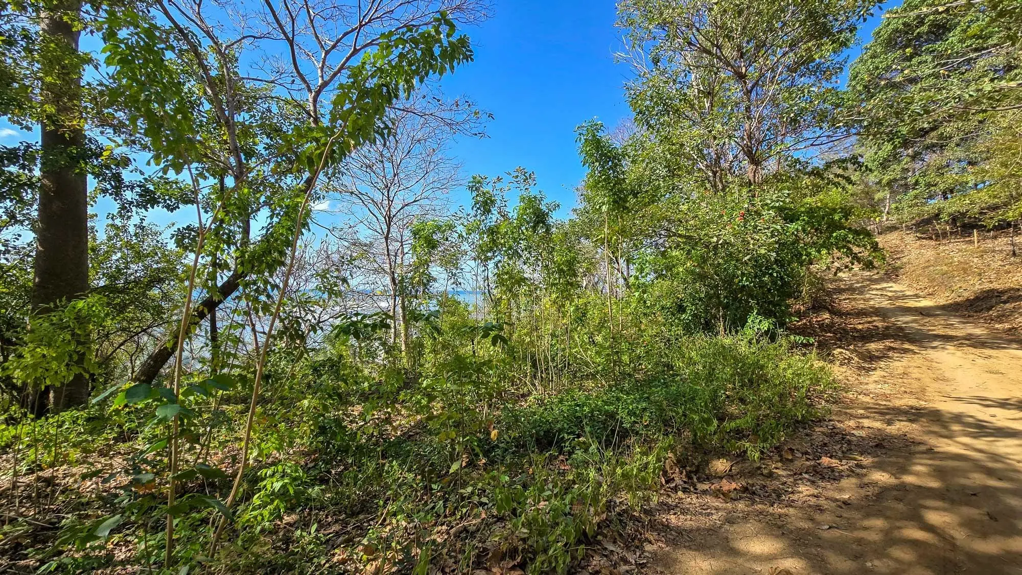 Cambutal, Tonosí, Close To Corto Circuito - Photo 6