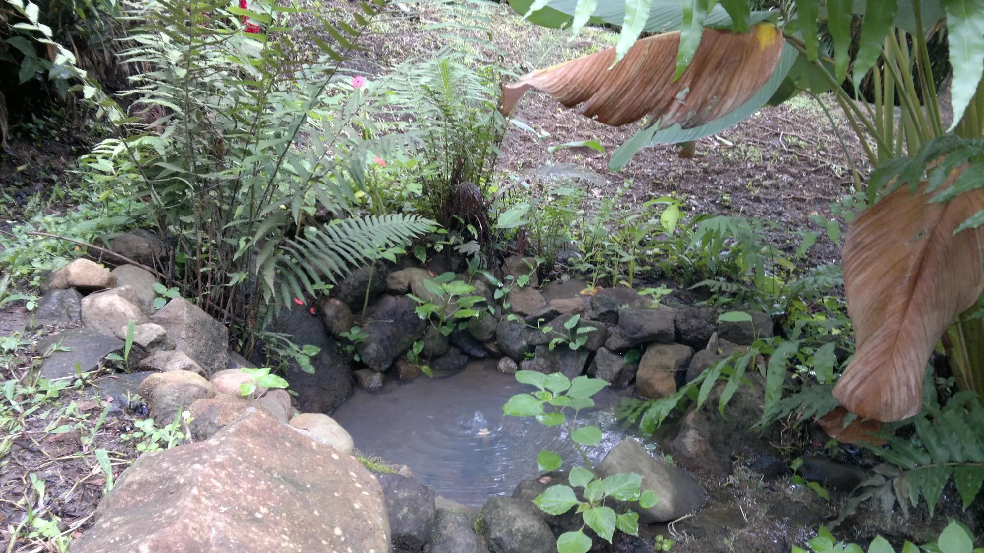 Altos Del Maria #380 Siena - Photo 114