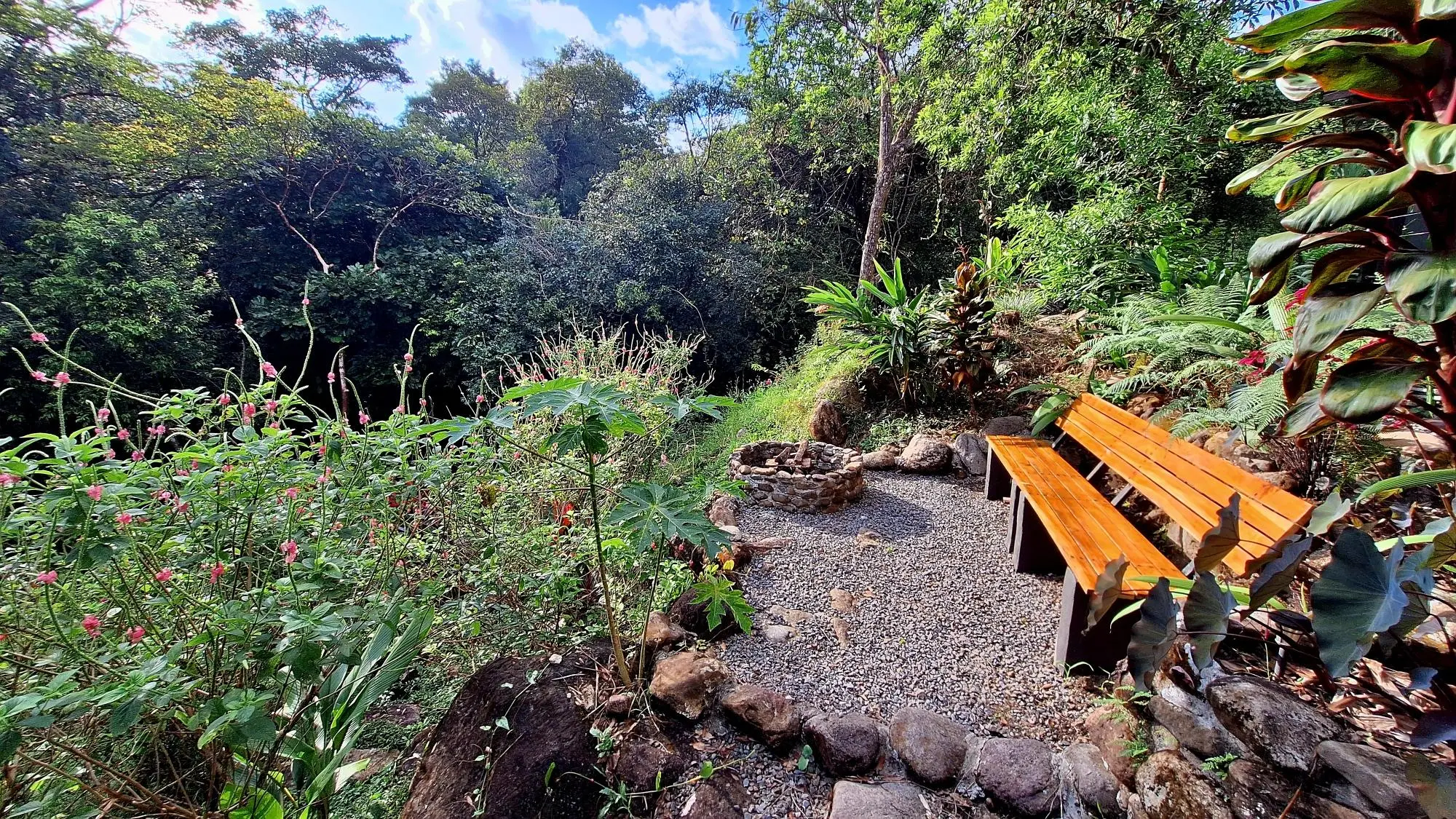 Boquete Caldera - Photo 60