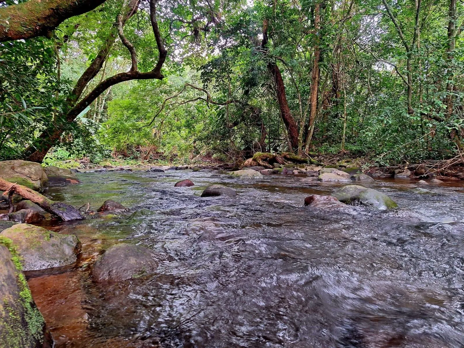 Boquete Caldera - Photo 78