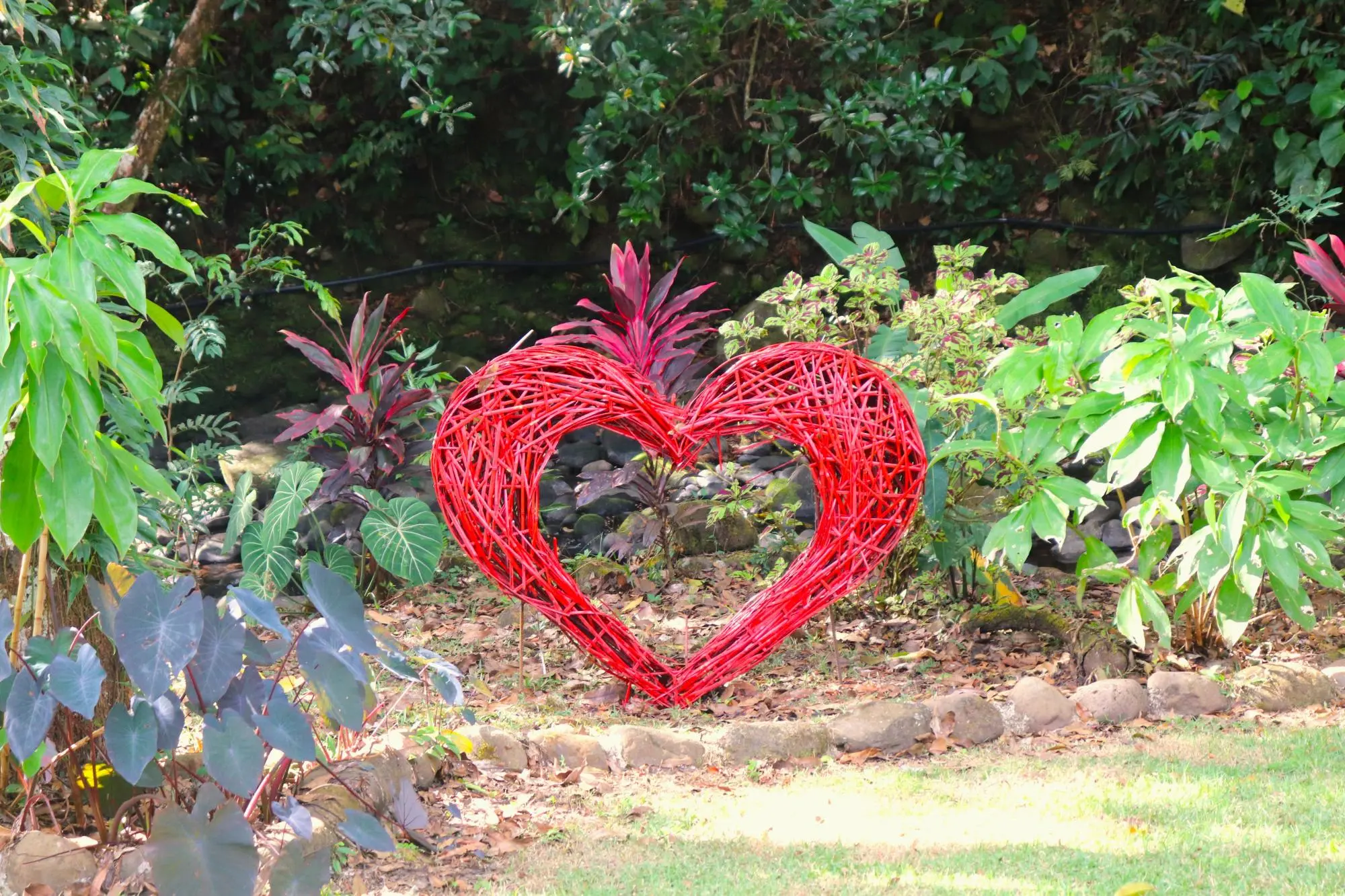 Boquete Caldera - Photo 67