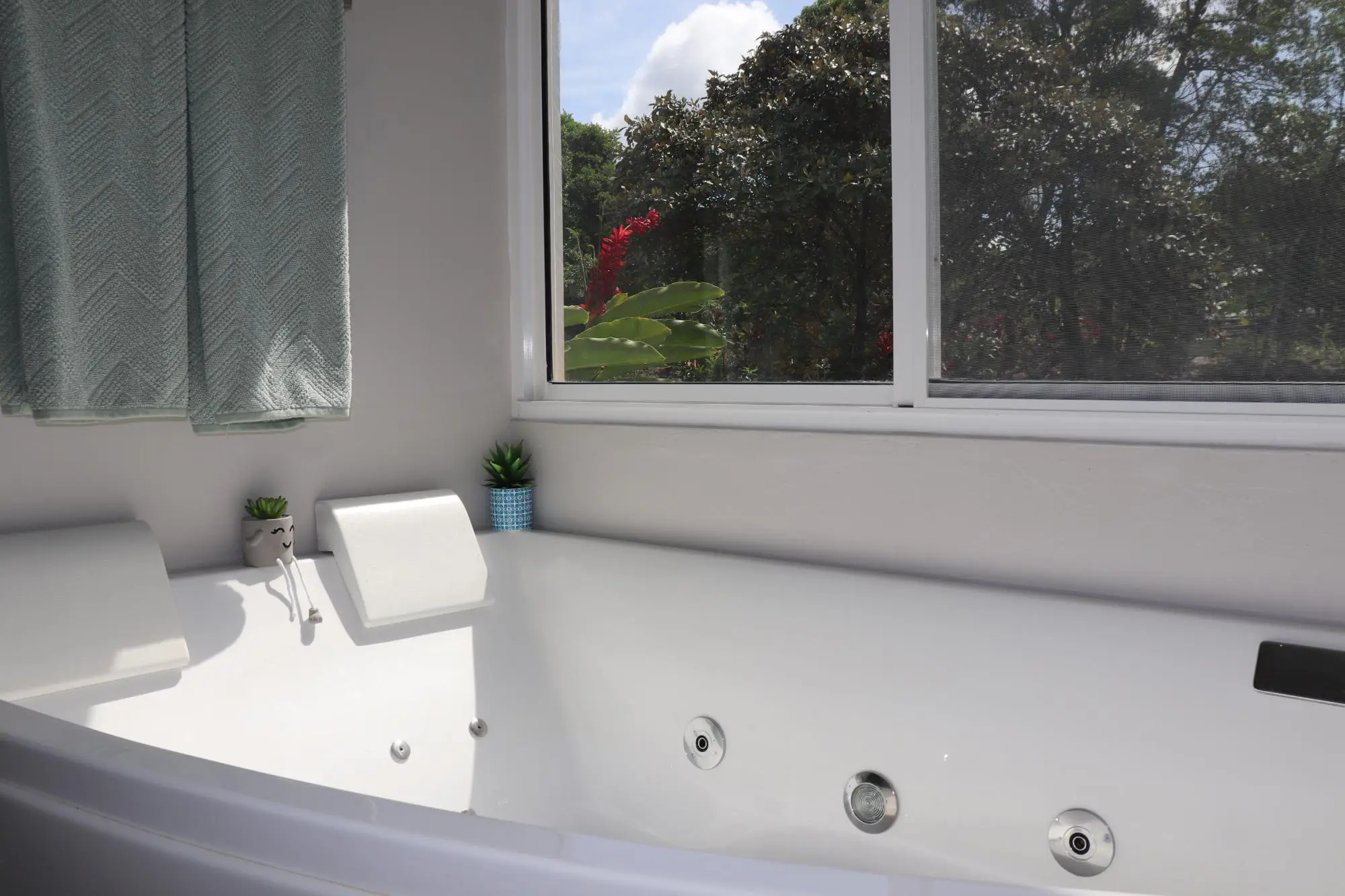 Boquete Caldera - Photo 28