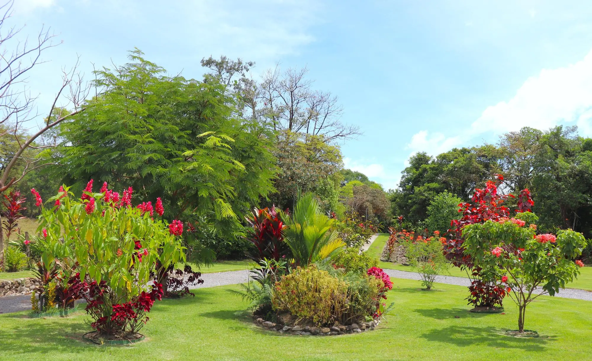 Boquete Caldera - Photo 51