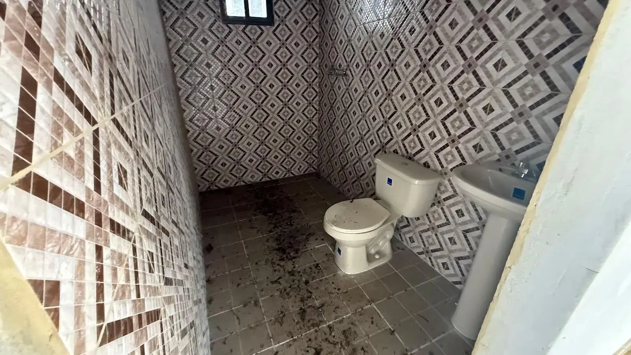 Ph Las Lajas Garden - Photo 31