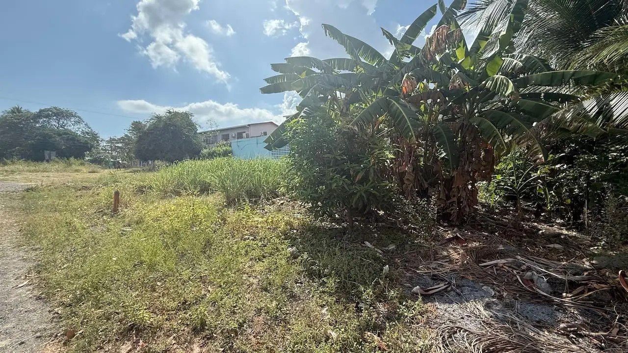 G3xm+74f Las Lajas - Photo 16