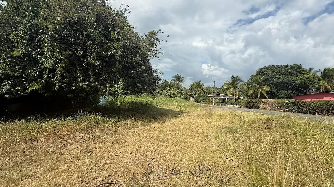 G3xm+74f Las Lajas - Photo 3