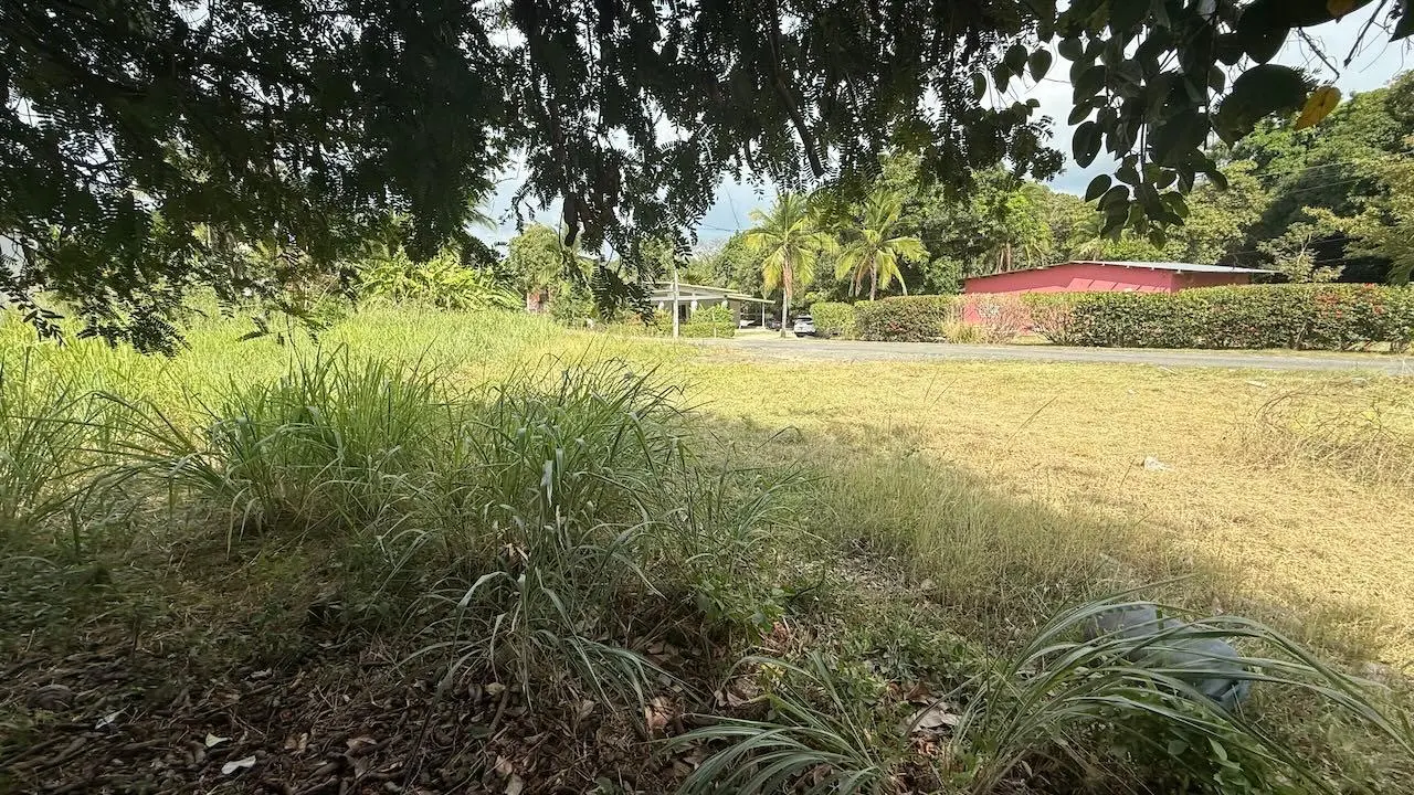 G3xm+74f Las Lajas - Photo 6