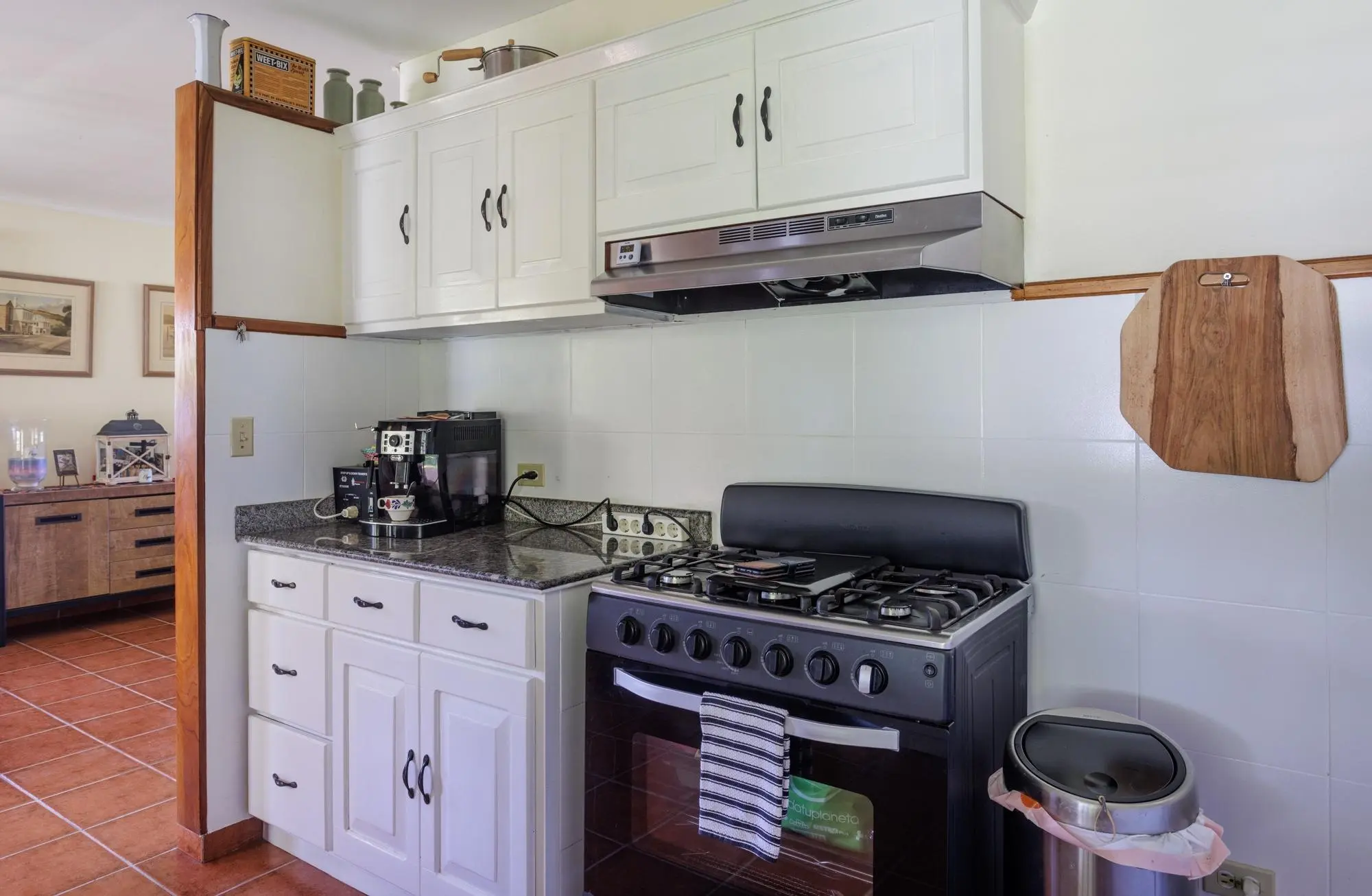 Volcancito Boquete Chiriqui - Photo 9