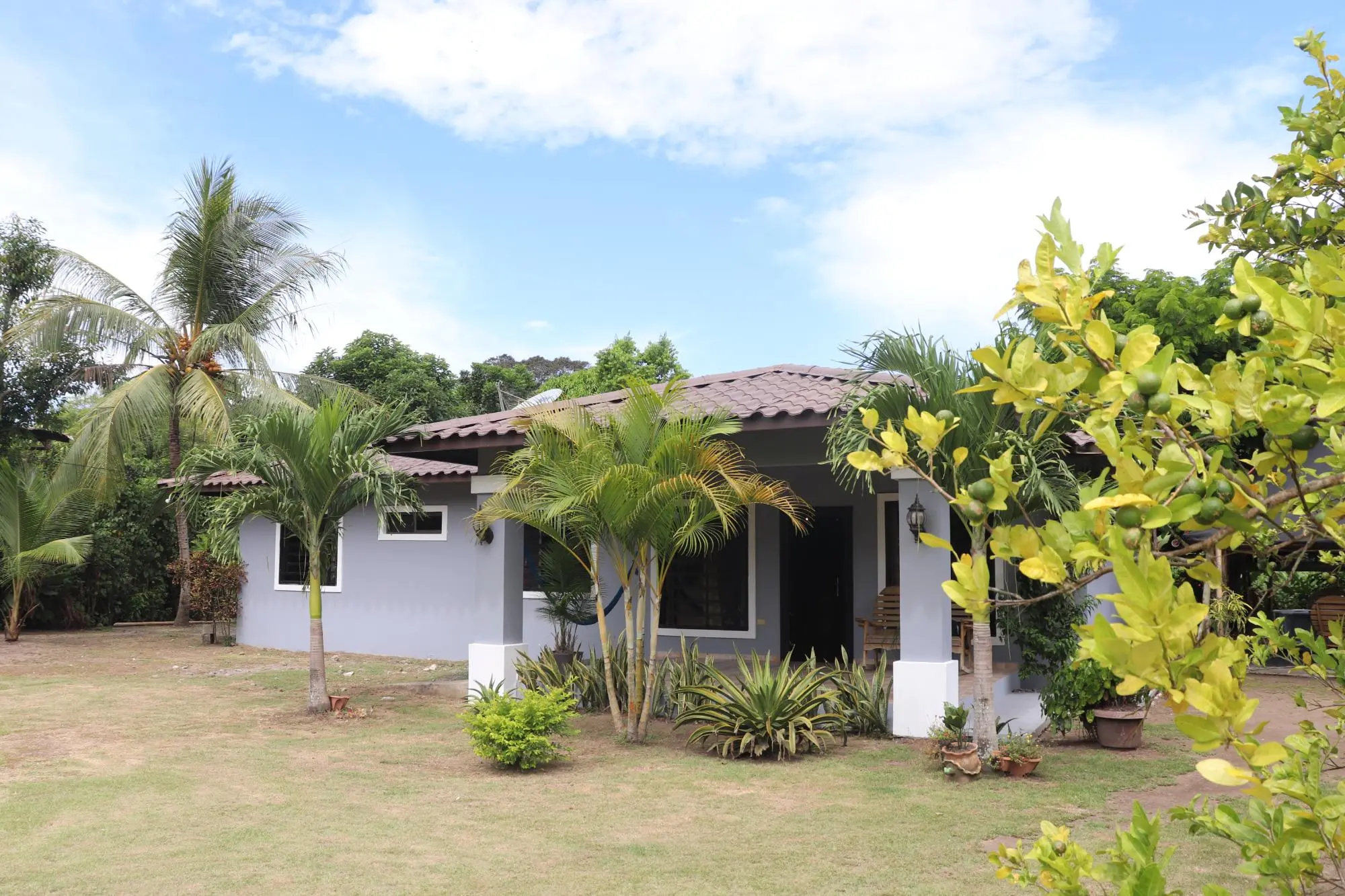 Guarumal Chiriqui - Photo 9