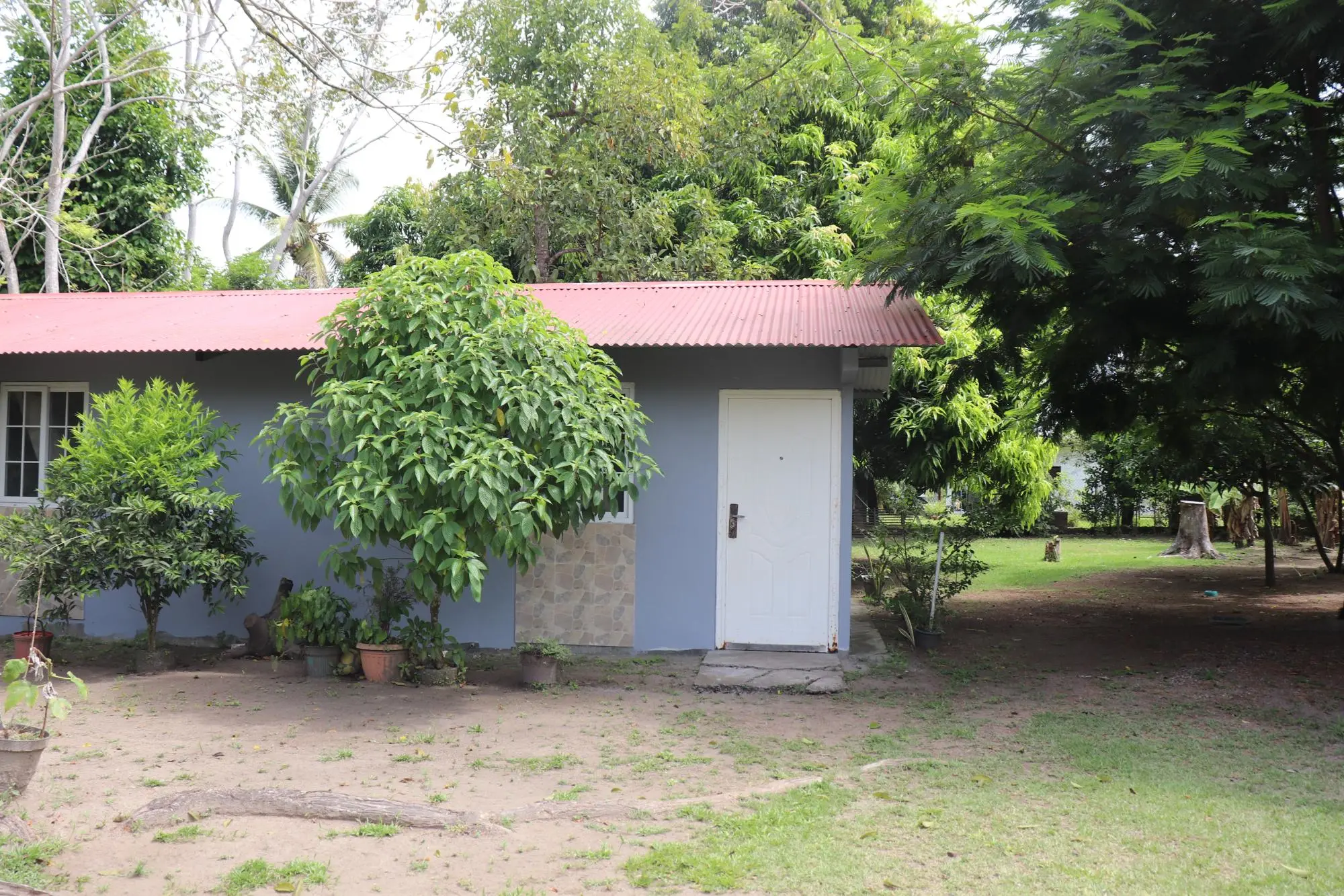 Guarumal Chiriqui - Photo 10