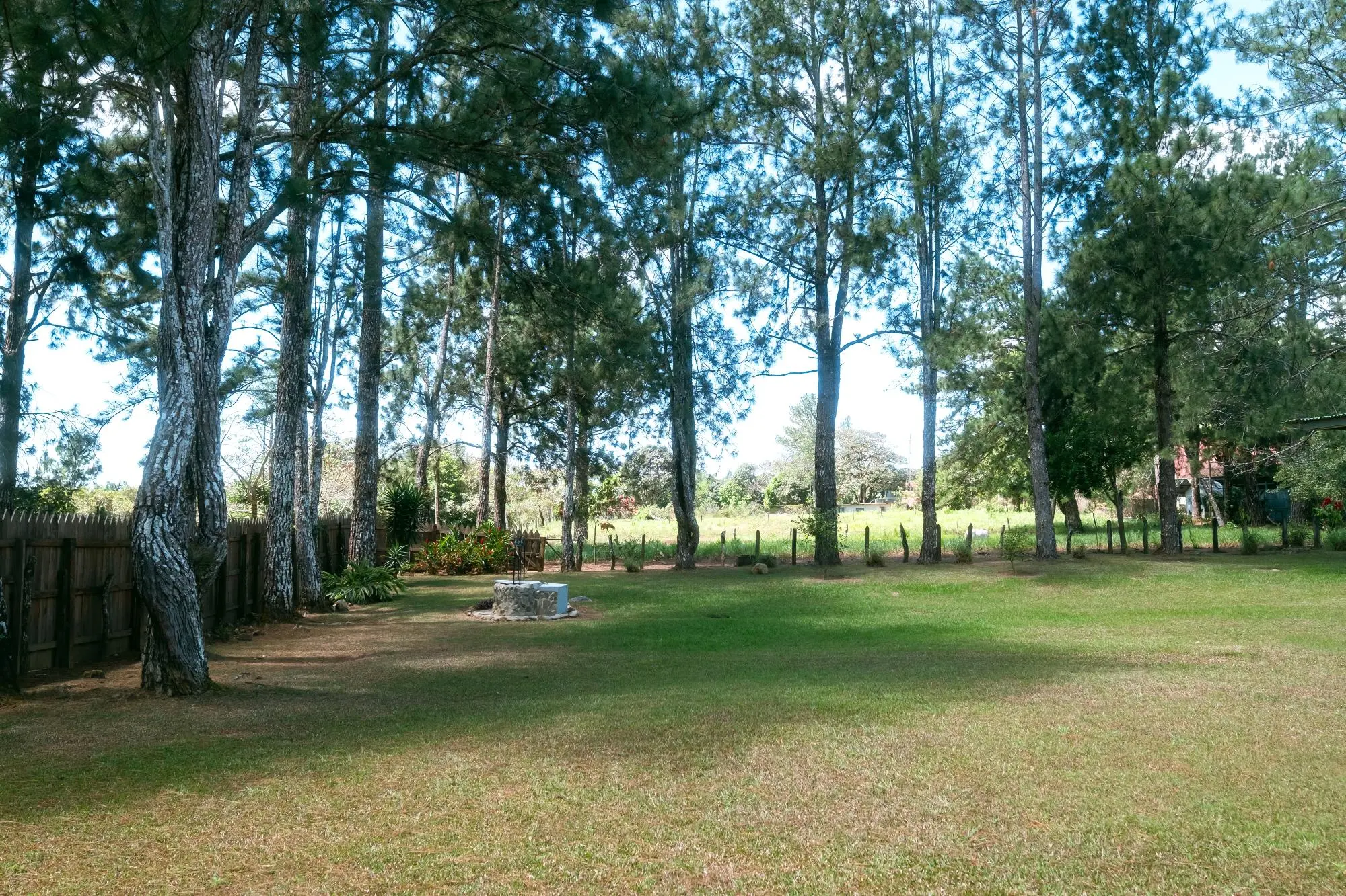 Potrerillos, Dolega, Chiriqui, Panama - Photo 120