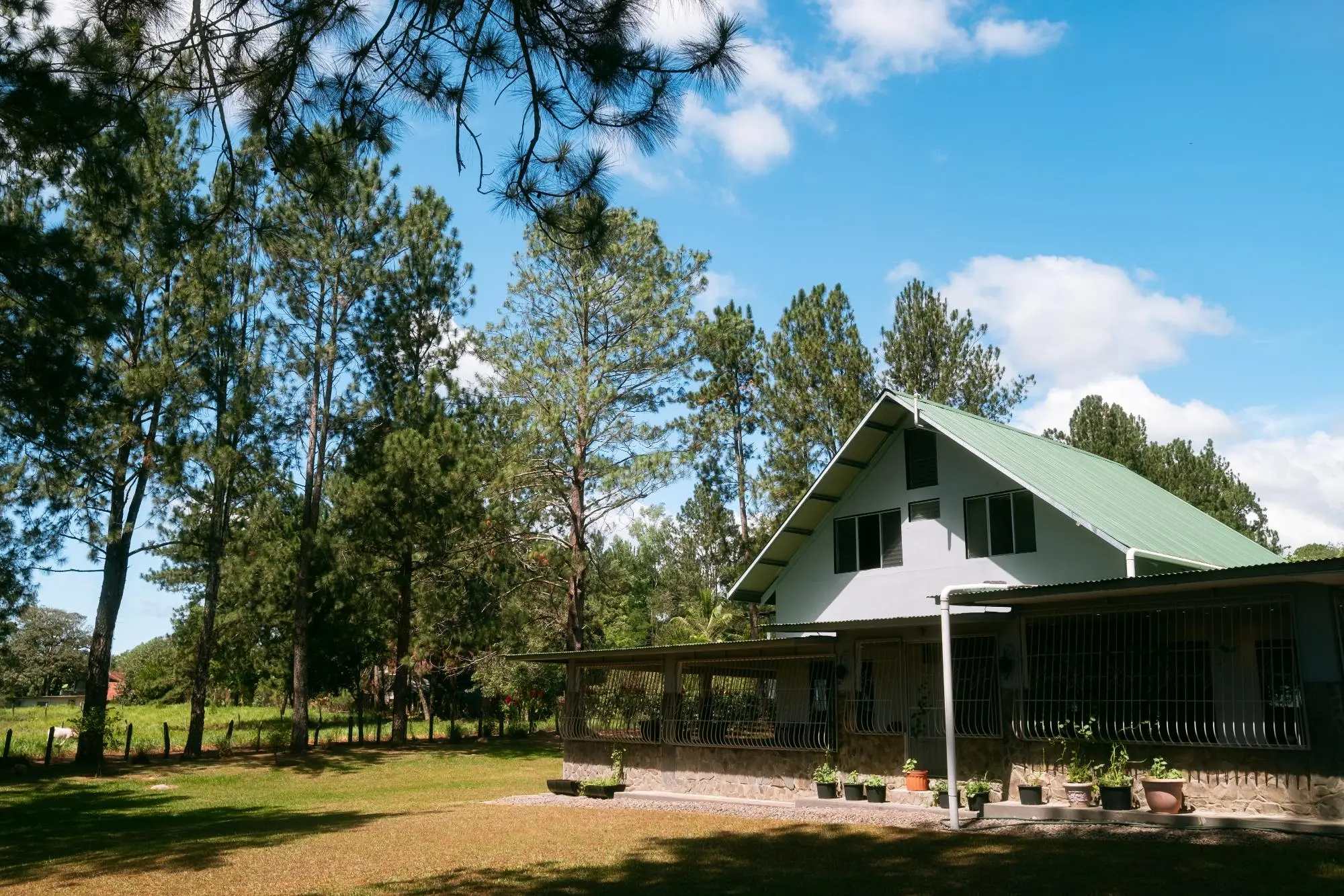 Potrerillos, Dolega, Chiriqui, Panama - Photo 16