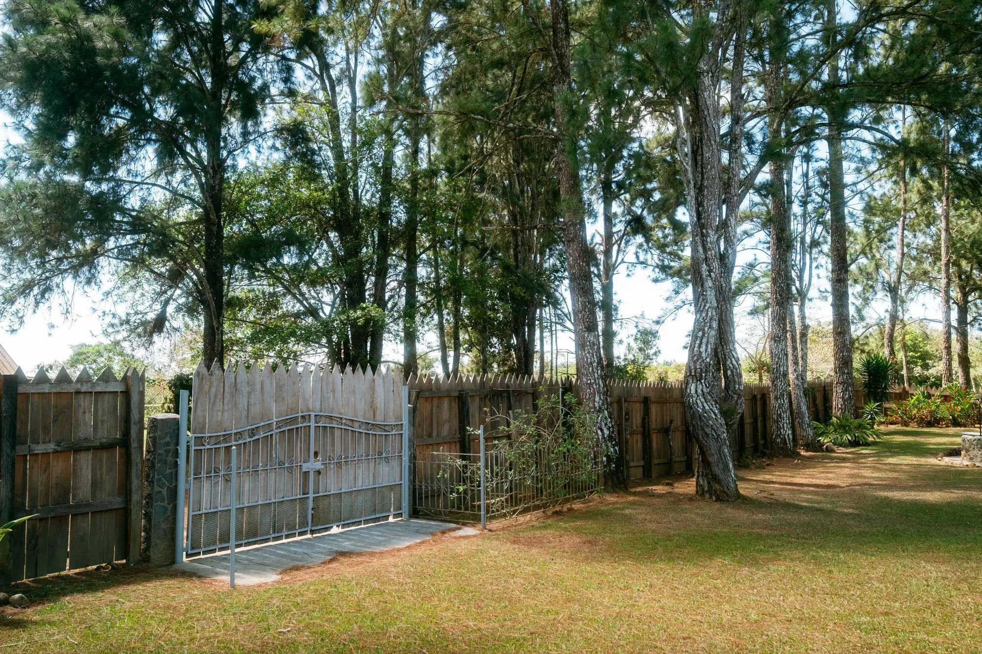 Potrerillos, Dolega, Chiriqui, Panama - Photo 114