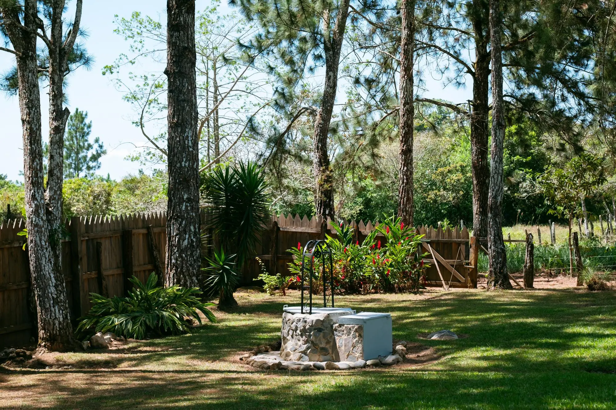 Potrerillos, Dolega, Chiriqui, Panama - Photo 145