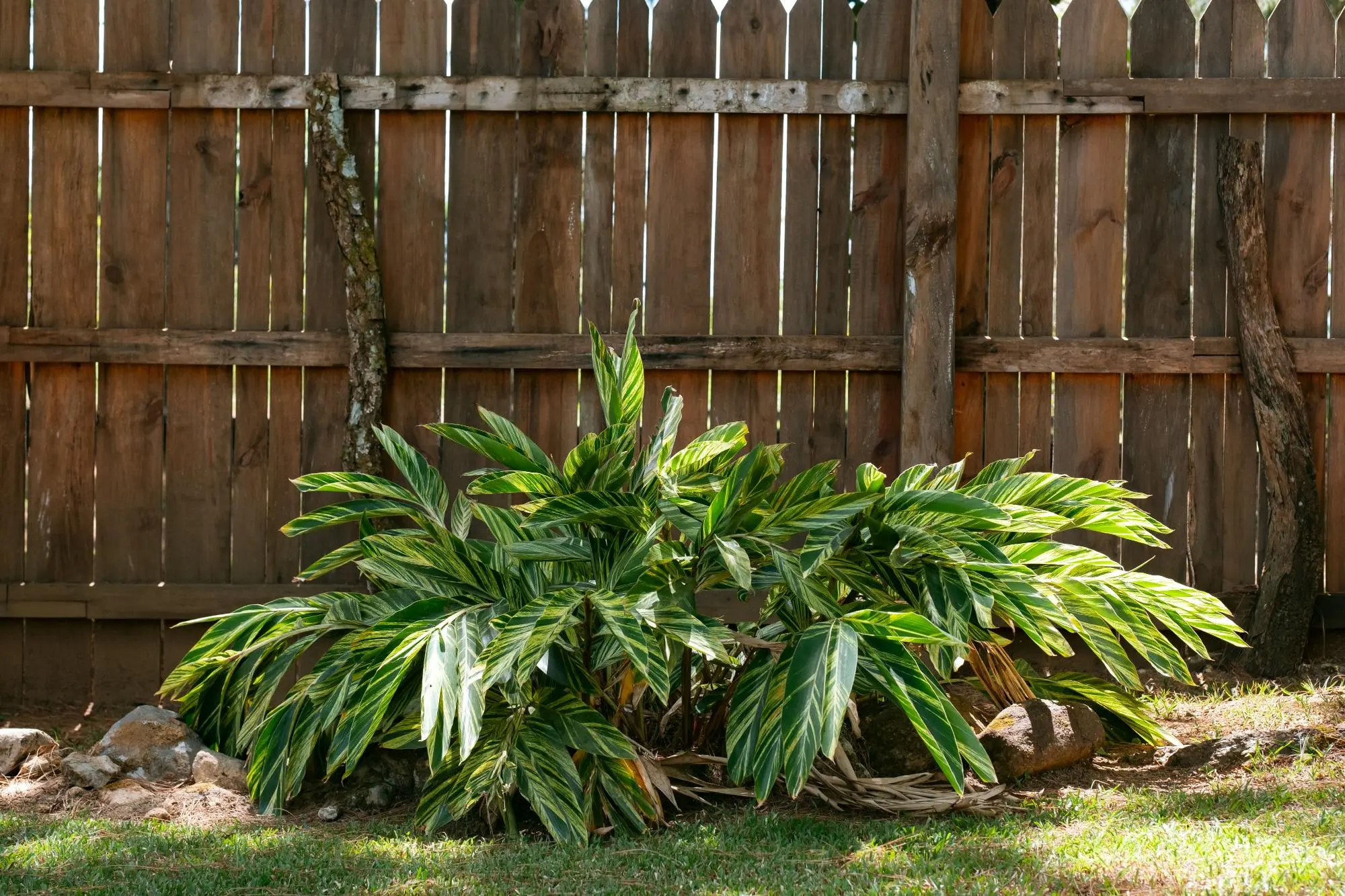 Potrerillos, Dolega, Chiriqui, Panama - Photo 110