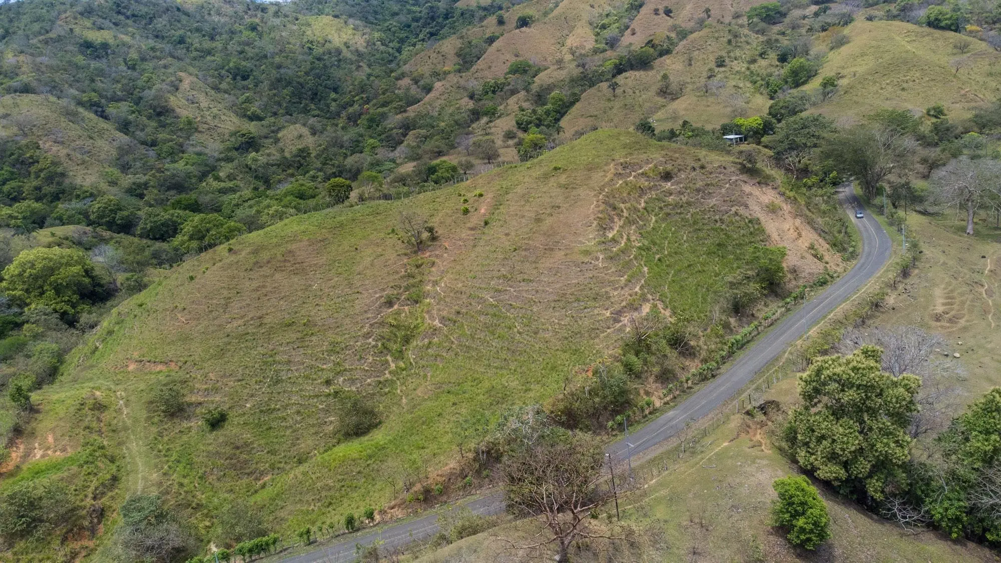 Guanico, Pedregal - Photo 14
