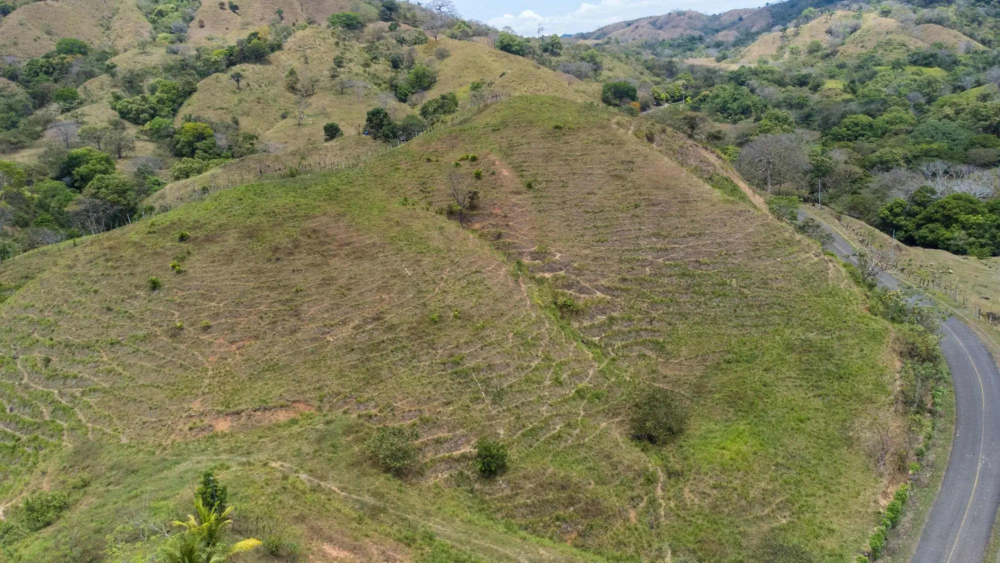 Guanico, Pedregal - Photo 5