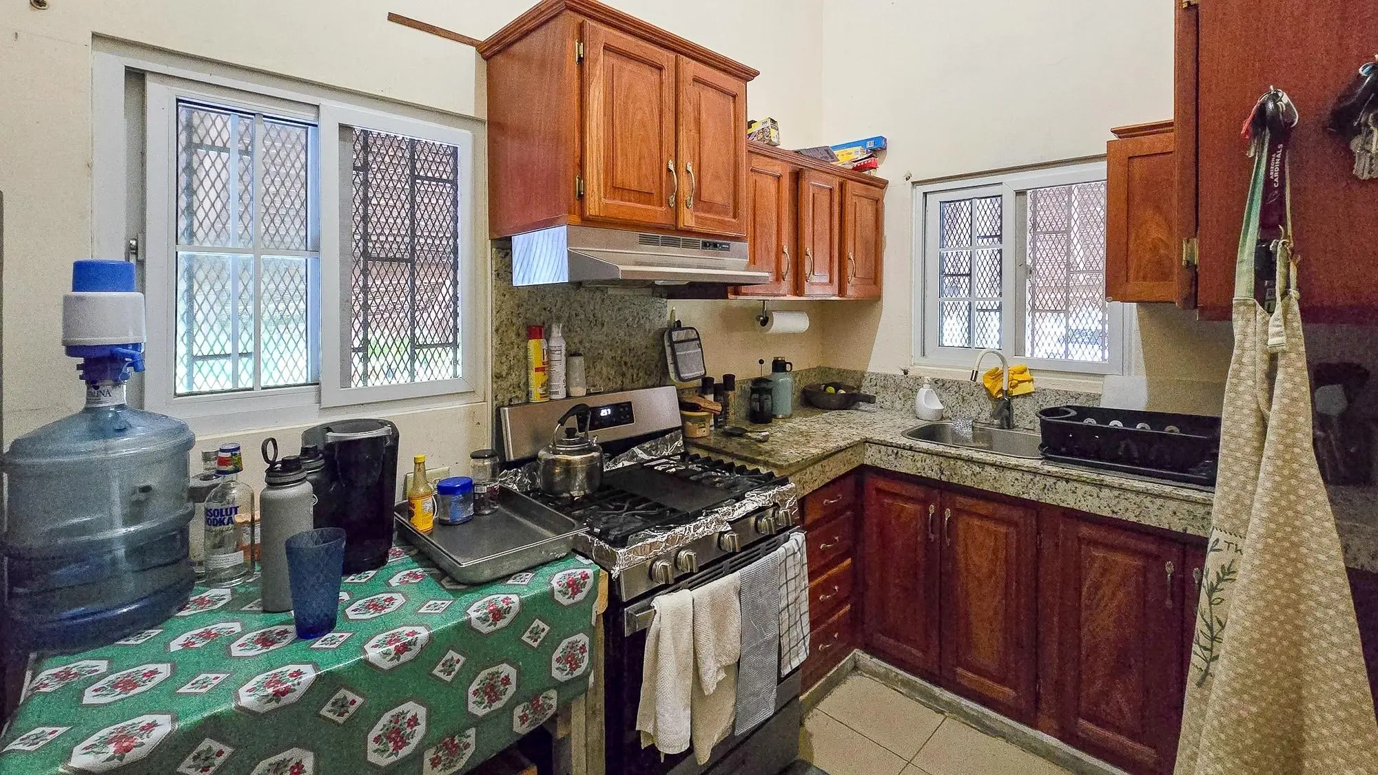 Las Tablas, Los Santos - Photo 20