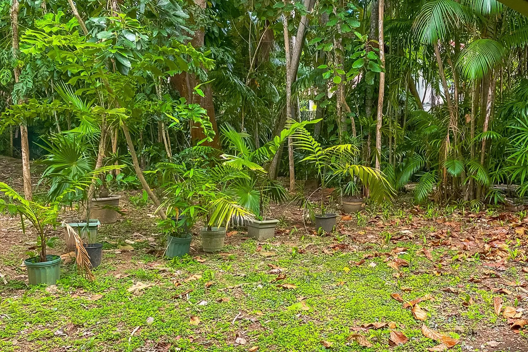 Calle Círculo Cirrone #244a - Photo 38