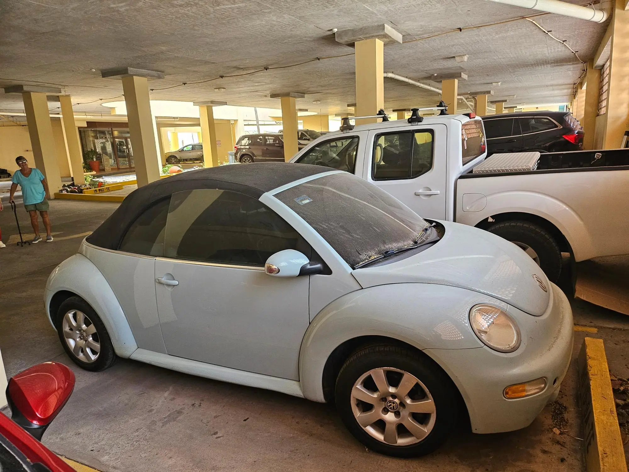 Gorgona #9a - Photo 44