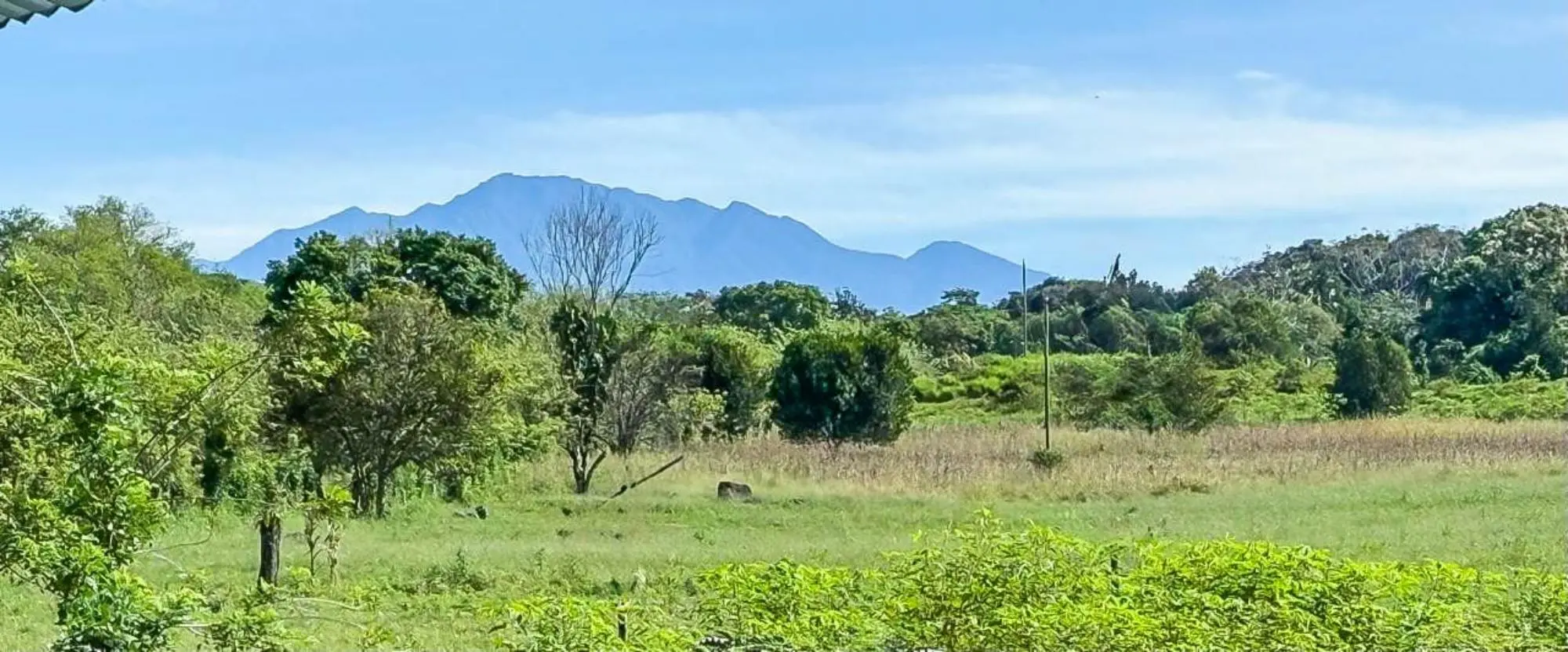 0 Chiriquí, Bugaba, Santa Marta - Photo 46