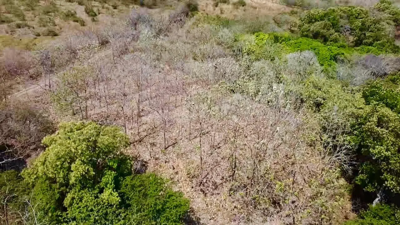 Calle La Canelita ##5 - Photo 5