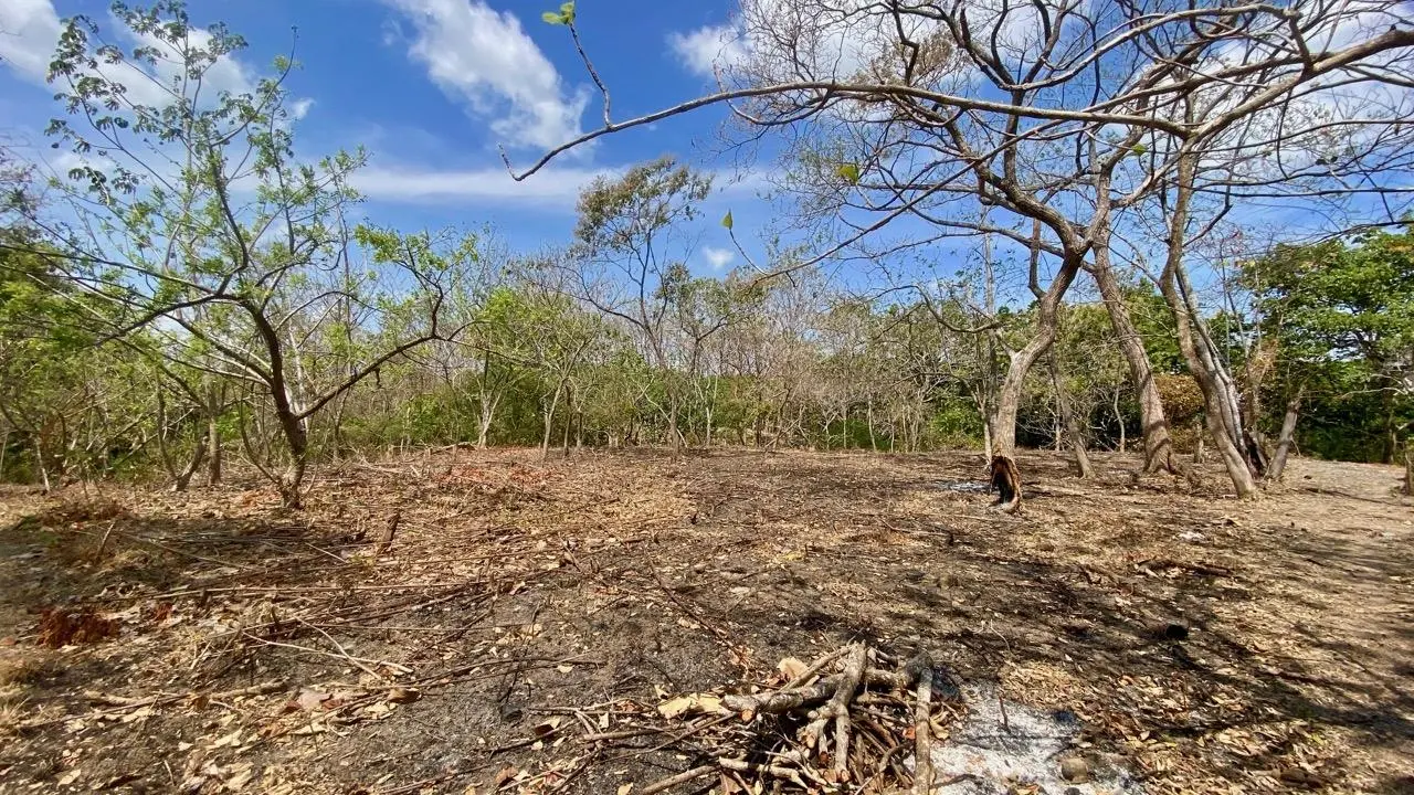 Calle La Canelita ##5 - Photo 38