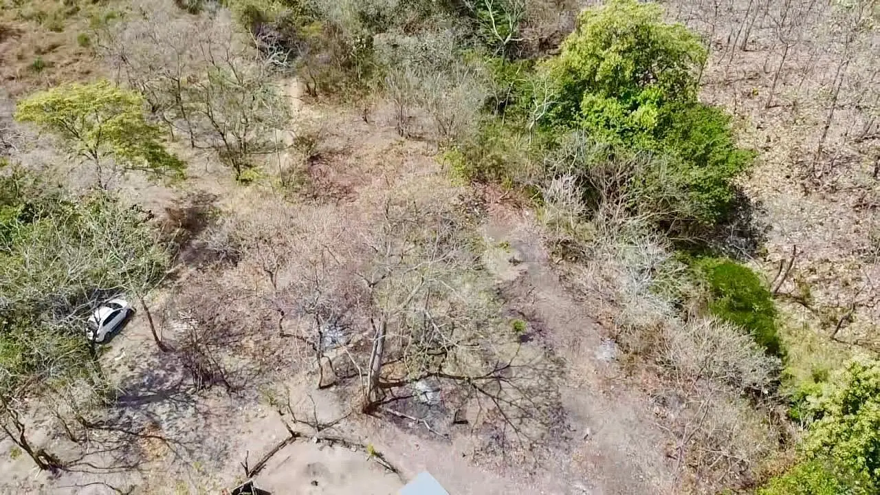 Calle La Canelita ##5 - Photo 16