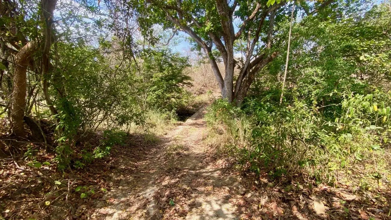 Calle La Canelita ##5 - Photo 50