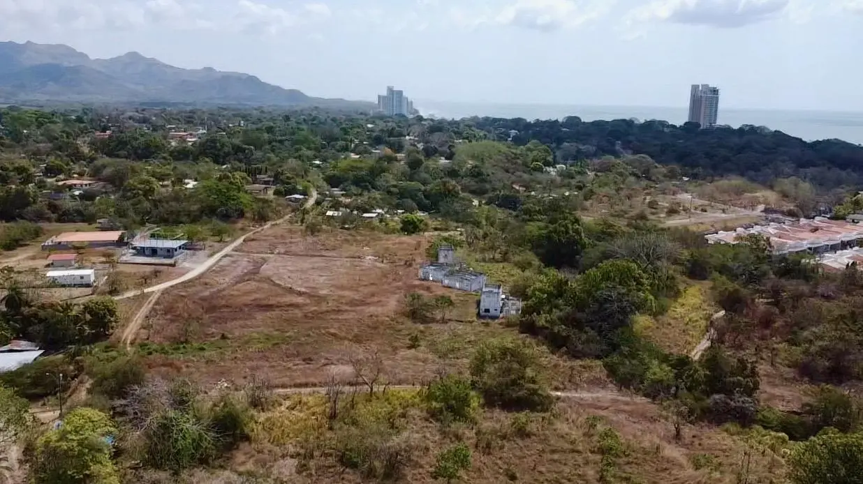 Calle La Canelita ##5 - Photo 33