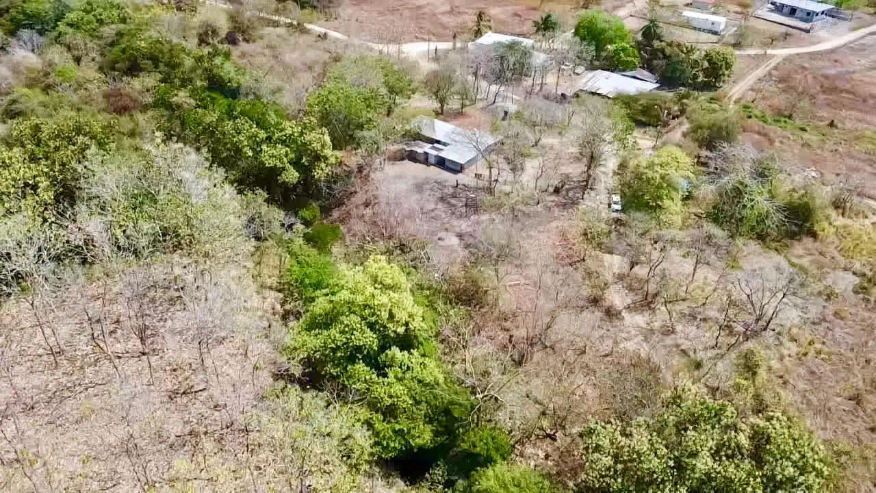 Calle La Canelita ##5 - Photo 28