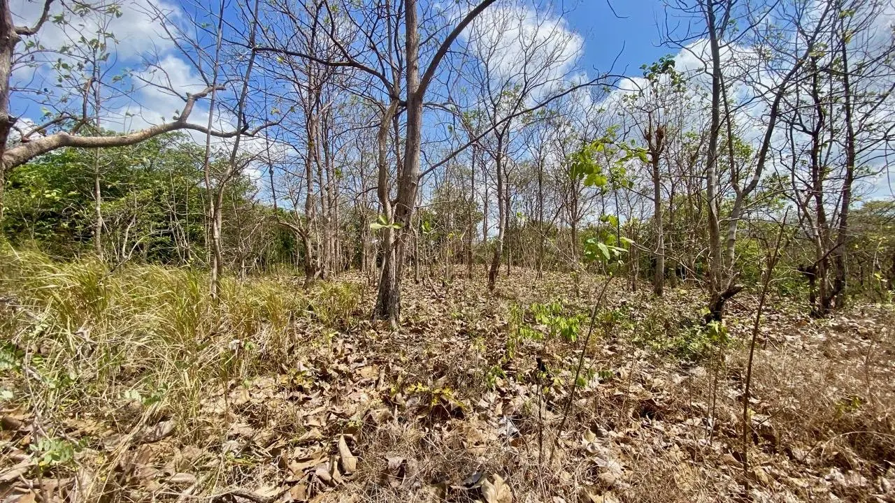 Calle La Canelita ##5 - Photo 59