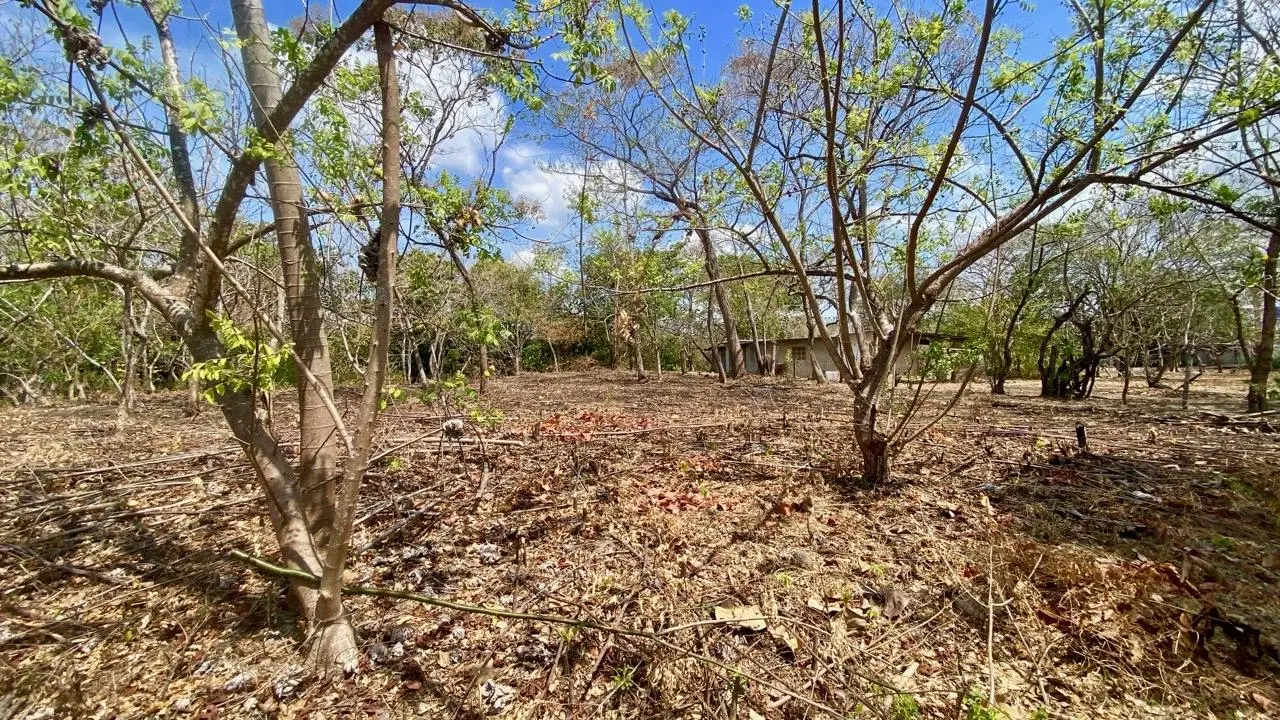 Calle La Canelita ##5 - Photo 42