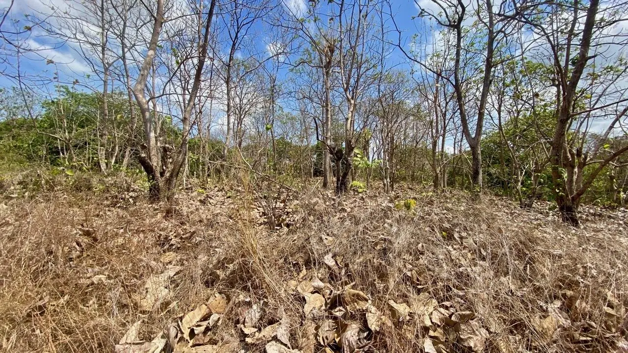 Calle La Canelita ##5 - Photo 61