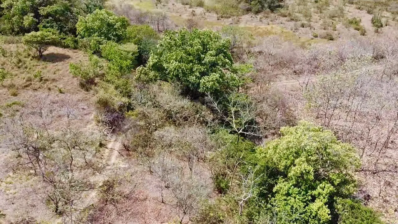 Calle La Canelita ##5 - Photo 10