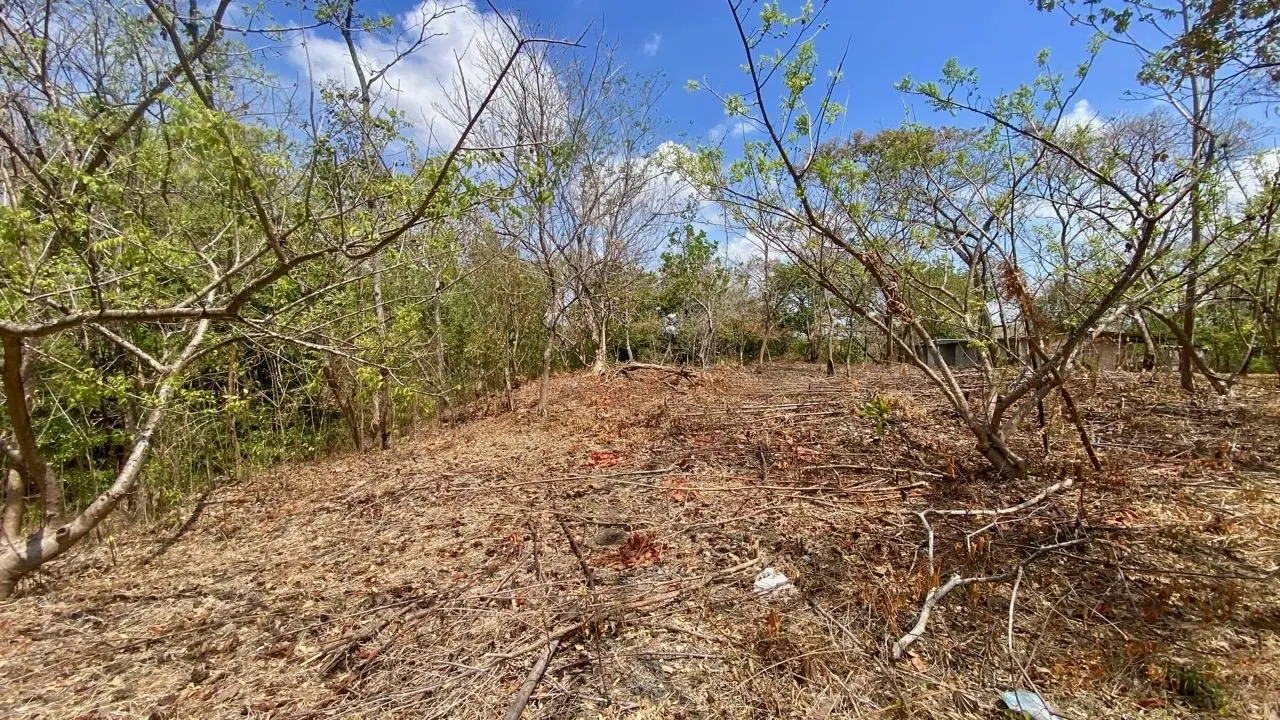 Calle La Canelita ##5 - Photo 46