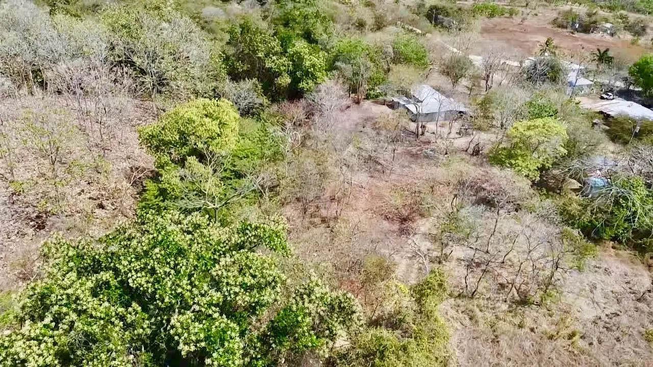 Calle La Canelita ##5 - Photo 27