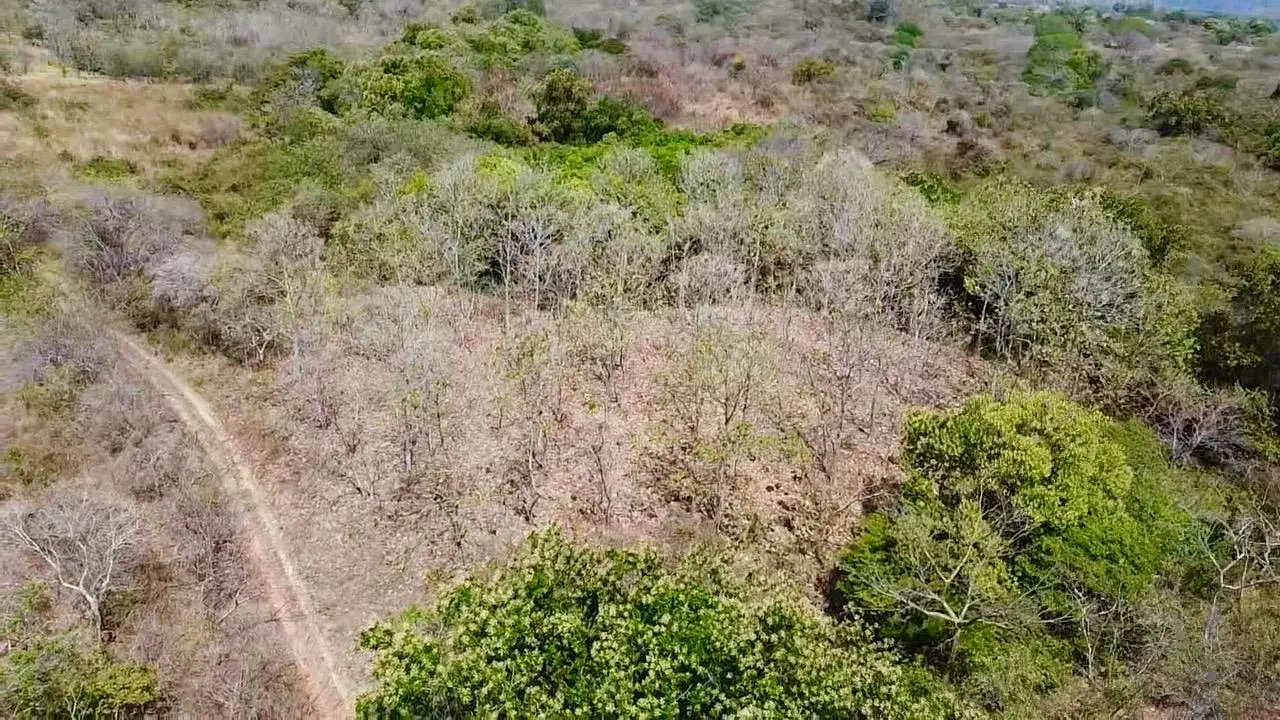 Calle La Canelita ##5 - Photo 22