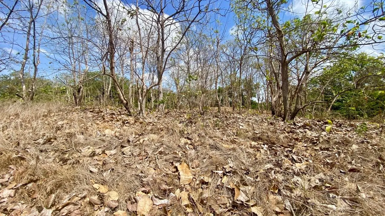 Calle La Canelita ##5 - Photo 55