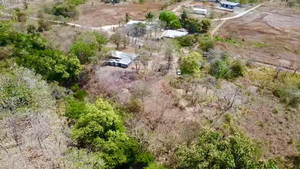 calle la canelita ##5