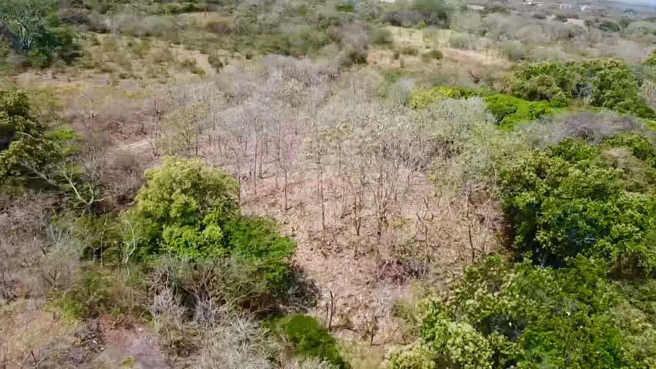 Calle La Canelita ##5 - Photo 20