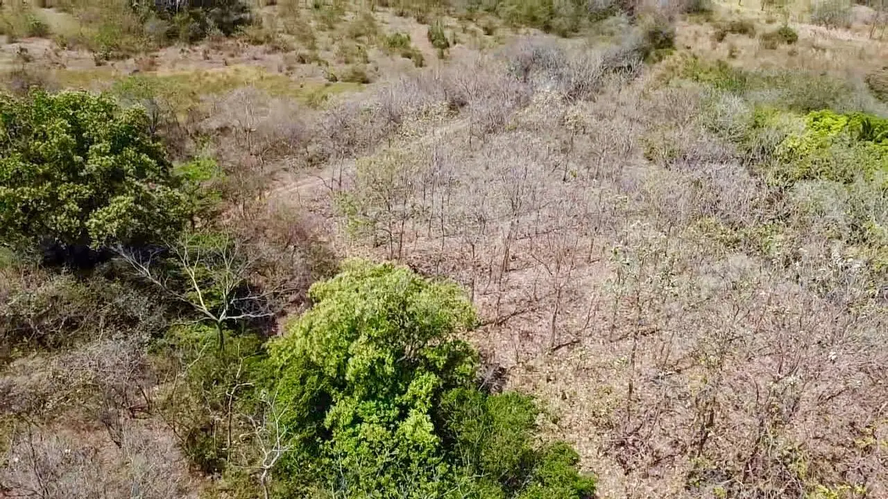 Calle La Canelita ##5 - Photo 7