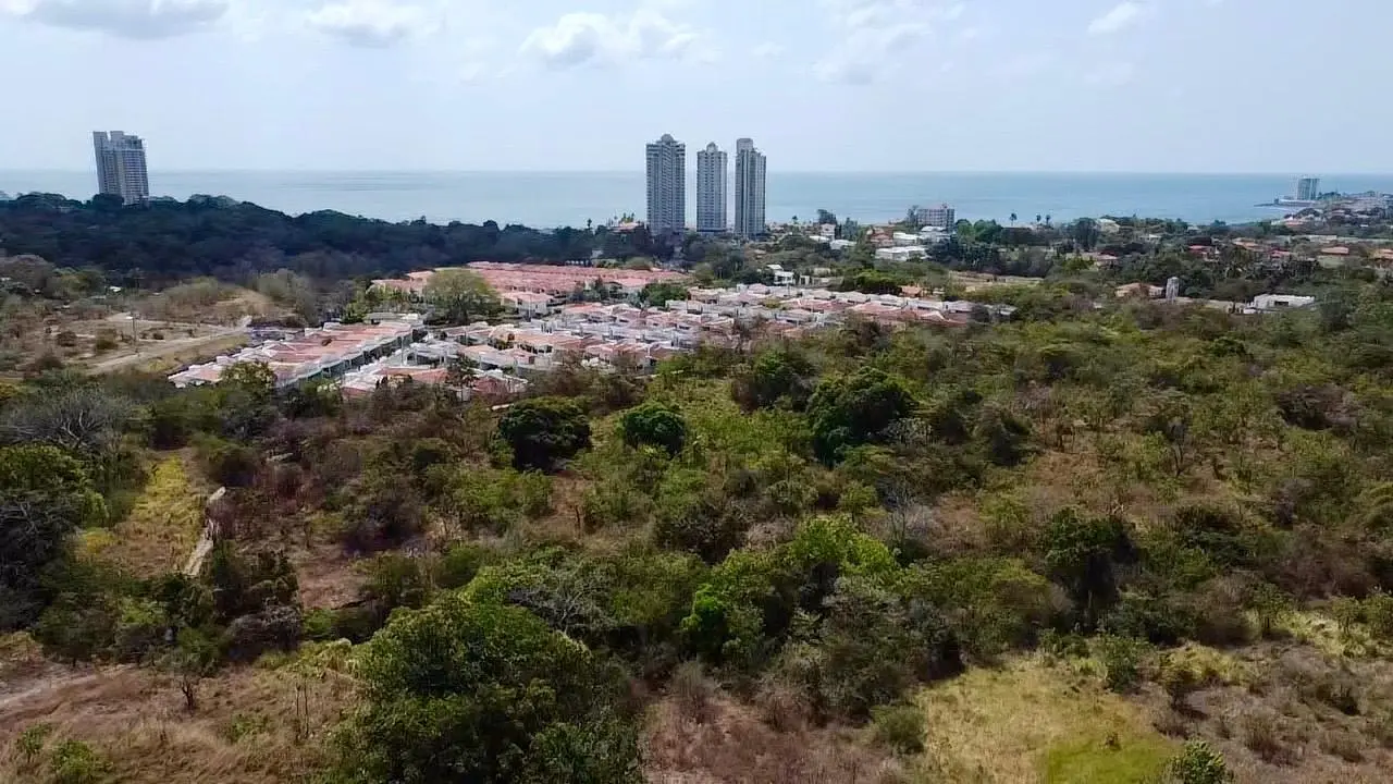 Calle La Canelita ##5 - Photo 36