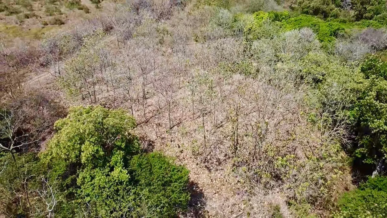 Calle La Canelita ##5 - Photo 14